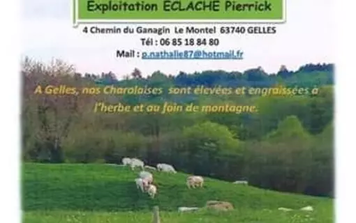 Producteurs locaux
